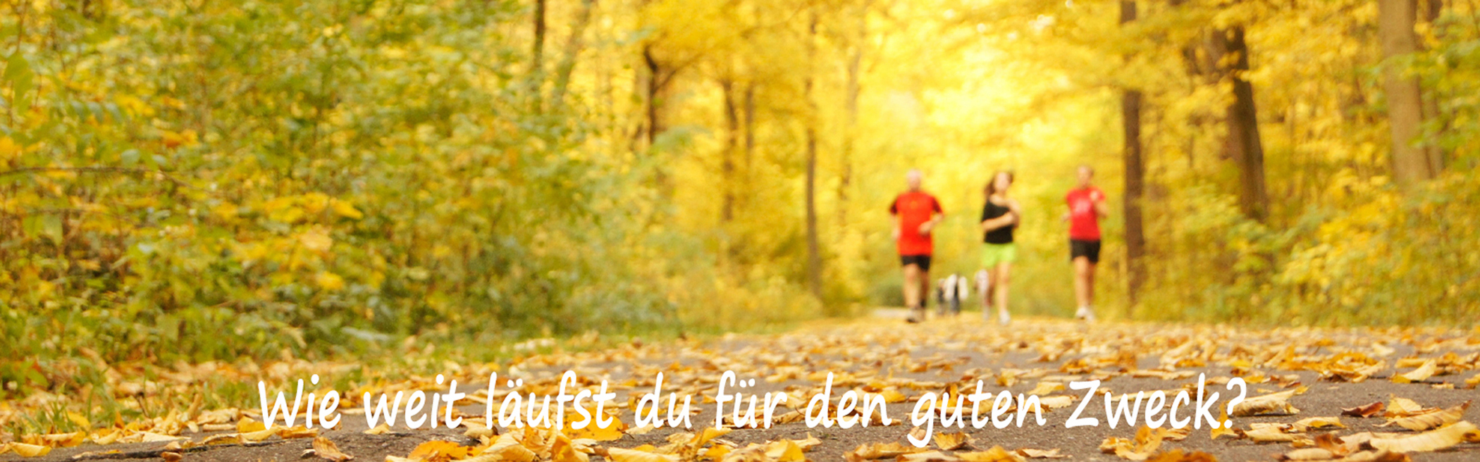 Dresdner Familienlauf